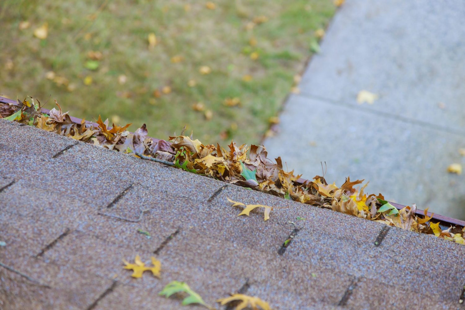 Dirty roof with iron gutter with autumn leaves requiring cleaning